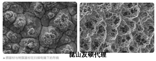 山东蔡司山东扫描电镜