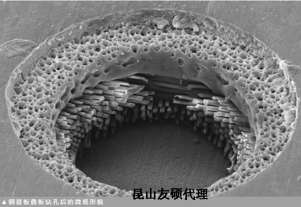 山东蔡司山东扫描电镜